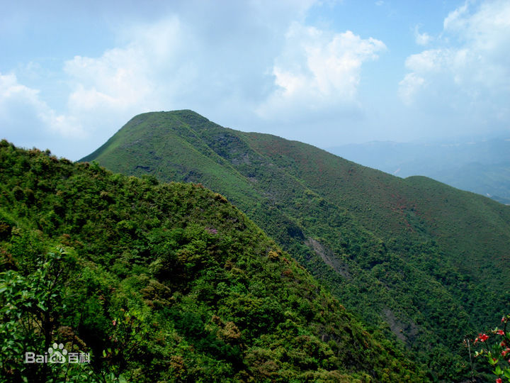 莽山 Mangshan Mountain.jpeg